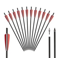 20″ Carbon Crossbow Arrows Crossbow Bolts 3X Lighted Nocks Archery Bow Shooting