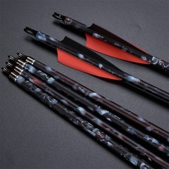 Archery 30-70lbs Compound Bow RH Carbon Arrows Target Hunting Shooting 310 FPS