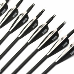 12Pack Carbon Arrows 32″ Spine500 with Removable Tips for Compound & Recurve Bow