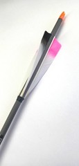 Pure carbon arrows