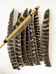 50X Archery Full Length Arrow Feathers Fletches Turkey Fletching Shaft DIY RW LW
