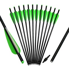 12Pcs Aluminum Crossbow Bolts 22» Target Hunting Practice Arrows for Outdoor