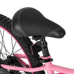 JOYSTAR NEO 20 Inch Kids Bike for Ages 6-10 Years Old Boys & Girls, 20 Inch W…