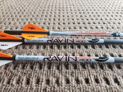 RAVIN R139 .001 20 INCH 3 ARROWS 400 GRAIN NEW WITH TARGET POINTS