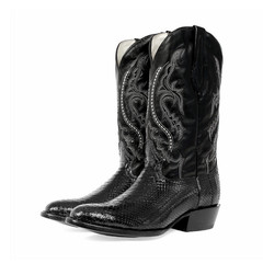 J.B. Dillon Black Python Cowboy Boots
