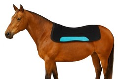 31″x32″ Horse Western Contoured Neoprene Shock Absorbing Saddle Pad 39181TR
