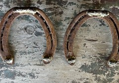 Hand-Forged Pair of 2 Studded Cast Iron Lucky Draft Horseshoes-Farmhouse Decor