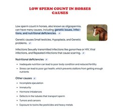 EQUINE SPERM BOOSTER – FERTILITY (120 Capsules – Made in USA)