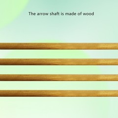12PCS 33″ Wooden Shooting Arrows for Hunting Competition