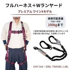 Tsubaki Model x Ueda X-Type Full Body Harness Set (Type 1/2 Compliant)