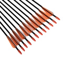 12Pcs 31inch Fiberglass Practice Arrows for Archery Target Shooting Recurve Bows