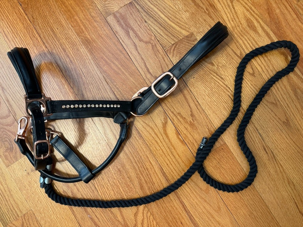 Full Size Black Leather Rose Gold Rhinestone Halter w/ Black Cotton 4ft Lead