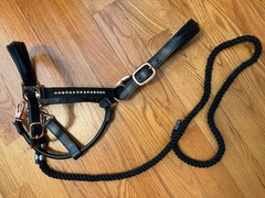Full Size Black Leather Rose Gold Rhinestone Halter w/ Black Cotton 4ft Lead