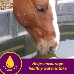 Horse Health Apple-Dex Apple Flavored Electrolytes 30 Pound 240 Days