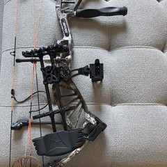 bear paradox compound bow