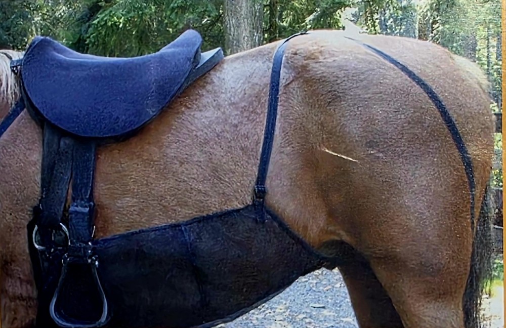CASHEL Quiet Ride Belly Guard Horse Bug/fly Control Trail Arena Riding