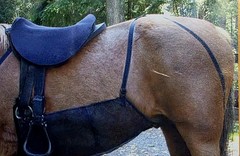 CASHEL Quiet Ride Belly Guard Horse Bug/fly Control Trail Arena Riding