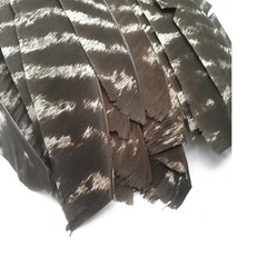 50pcs Full Length Fletching Archery Turkey Feather Flu-flu L/H Wing DIY Hunting