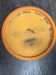 Discraft Bar Stamp Buzzz OG Orange