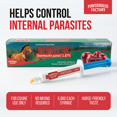 6 Pack In Box Paste Horse Dewormer Apple Flavor wormer horse Dewormer