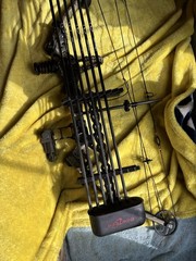 Bowtech Tomkat Compound Bow Camouflage Black with Sight , Quiver, And Arrows