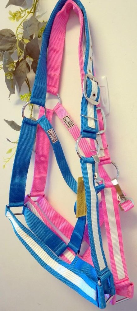 Popular White Striped DRAFT XL Horse- Teal Or Pink- Nylon Halters