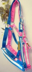 Popular White Striped DRAFT XL Horse- Teal Or Pink- Nylon Halters