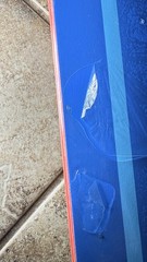 2016 GIRL x Mike Carroll Hello Sanrio Skateboard Deck *Tears In Shrink*