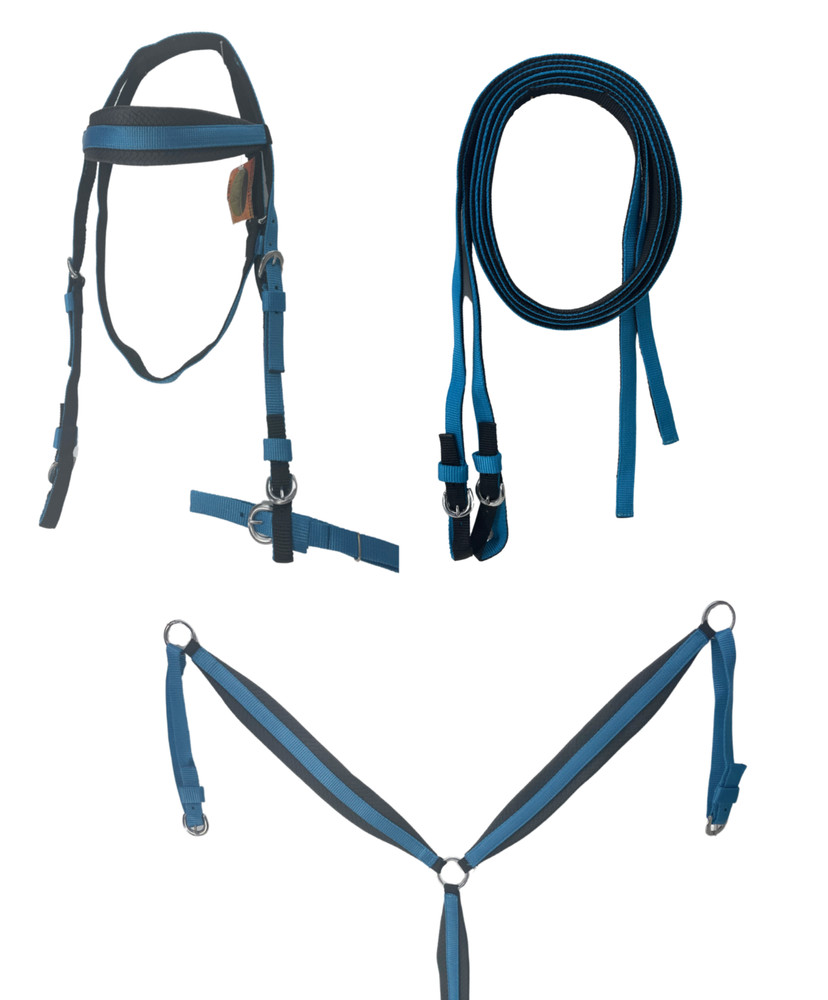 D.A. Brand Premium Light Blue/Black Nylon Bridle Set w/Breast Collar DA1165
