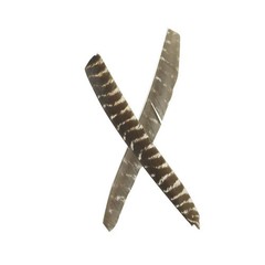 30 Pieces Full Length Turkey Feather Archery Arrow Fletching (7-11 Inch) Spir…