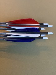 Gold Tip Warrior 500 Arrows, Set Of 6 With Arrow Tube Red Blue Carbon