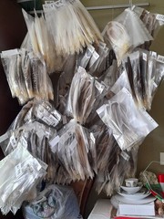 10 Pcs Turkey Feathers, Turkey BIOTS, Wing Feathers, Fly Tying Materials