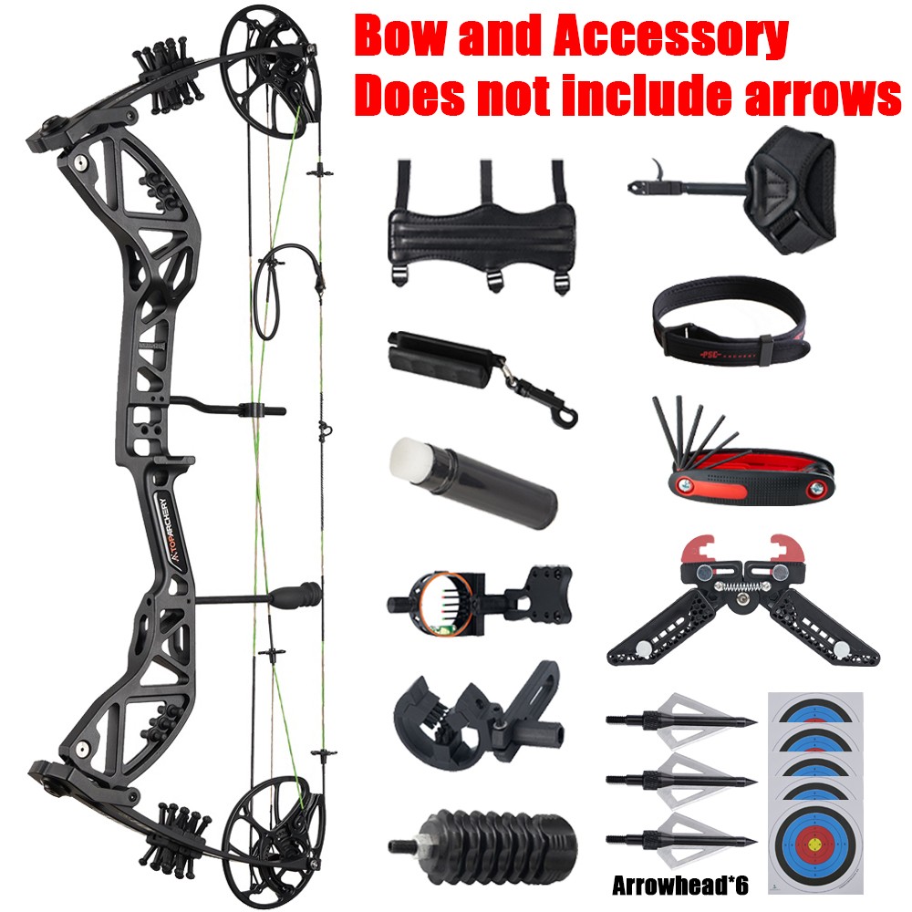Compound Bow Set 30-70lbs Archery Hunting Kit 310FPS Adult Arrow Target Practice