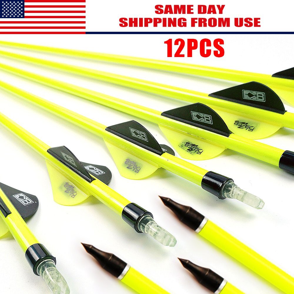 12Pcs Archery Carbon Hunting Target Arrows 30″ SP500 For Compound/Recurve Bow US