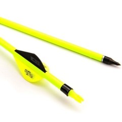 12Pcs Archery Carbon Hunting Target Arrows 30″ SP500 For Compound/Recurve Bow US