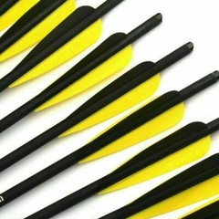 17″ 20″ 22″ Hunting Target Crossbow Bolts Archery Carbon Arrows OD8.8mm Crossbow