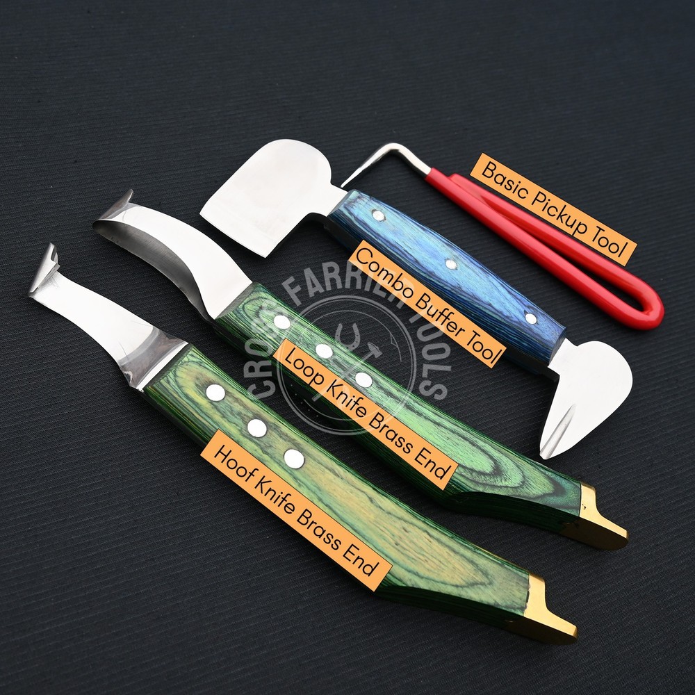 10-in-1 Farrier Tool Kit | Hoof Nipper Nail Puller Clincher Rasp Hammer & Knives