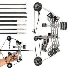 10″ Archery Mini Compound Bow 12lbs Arrows Set Children Toy Gift Target LH RH