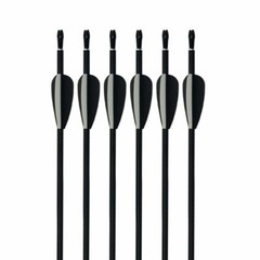 32in 12PCS Recurve Bow Mixed Carbon ArrowsHunting Practice Archery Target Arrow