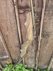 Bob Lee Signature Recurve Bow 65lbs @29″ 62″ Long Right Hand 3pc Takedown bow