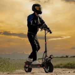 Freeboy Electric Scooter 48v 1200W For Adult 11″Off Road Fat Tires Fast Speed US