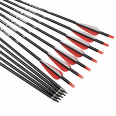 12Pk 26inch/28inch/30inch Mixed Carbon Arrow Hunting and Target Arrows Sp500 US
