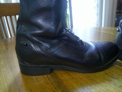 OVATION LADIES FLEX SPORT FIELD BOOT 7.5 REG CALF & BOOT BAG BOOT TREES EUC