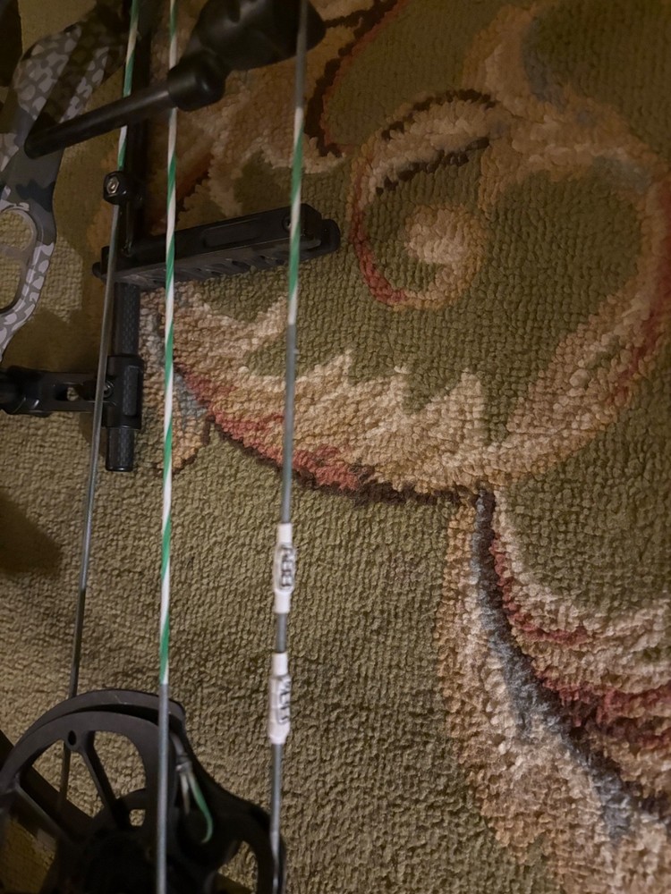 hoyt vtm 34 fully setup ultrarest with fast eddy and the quiver with new string