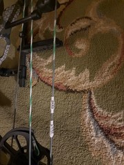 hoyt vtm 34 fully setup ultrarest with fast eddy and the quiver with new string