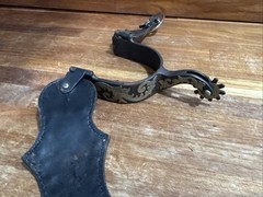 Reinsman like Ladies Multi Use Spur with Engraving