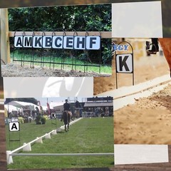 8Pcs Dressage Letters Arena Markers,Metal Dressage Arena Letters Dressage