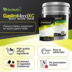 GastroMend XC, 100% Natural Equine Stomach Health for Horses, Promotes Healin…
