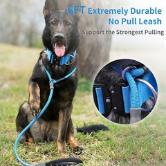 Strong Slip Rope Dog Training Leash (6ft) – Heavy Duty Durable Braided Nylon …