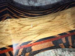 Southwest Archery Tiger Shark Pro 62in 35lb & 60lb RH Takedown Recurve Bow